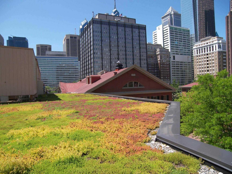 paysagiste-ST BLAISE-min_green-roof-portfolio-4